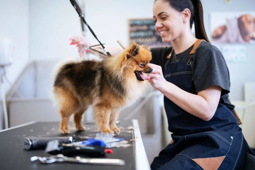 Pet Groomers Mobile in Miami