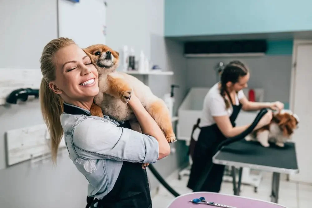 The Right Pet Groomer